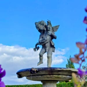 Chemotherapy Experience